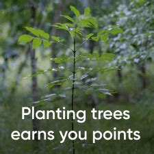 Plant trees with your steps. Reduce your carbon consumption by not driving, get fitter by taking the stairs instead of the elevator. Maximise your impact by walking and we’ll plant trees on your behalf. You’ll also earn earth friendly rewards for your effort. Learn more 